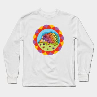 Colorful Hedgehog Long Sleeve T-Shirt